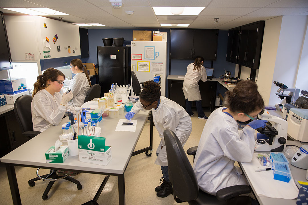 Students in a forensics lab working on different types of equipment